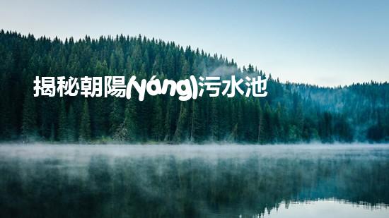 揭秘朝陽(yáng)污水池清理：驚人發(fā)現(xiàn)與令人震驚的真相！
